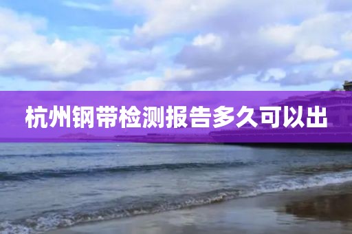 杭州钢带检测报告多久可以出